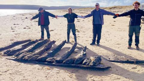 the team standing near the wreck on beach
