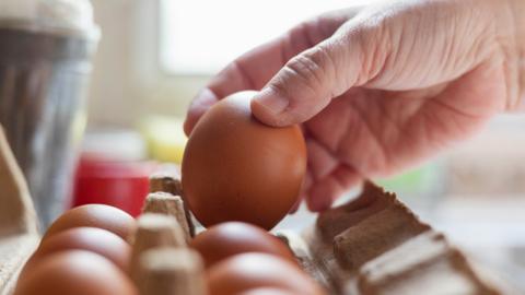 Close up of a hand removing an egg from a box