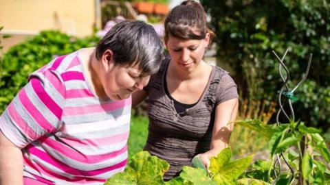 Two people looking at a plant