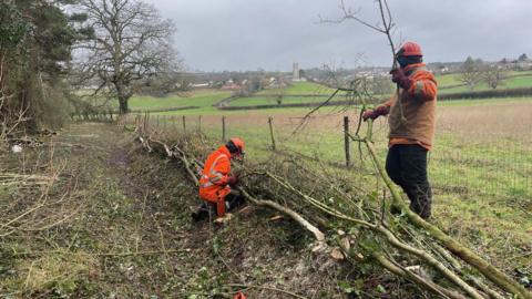 Two workers in orange high-vis clothing are laying branches on the ground near a field.