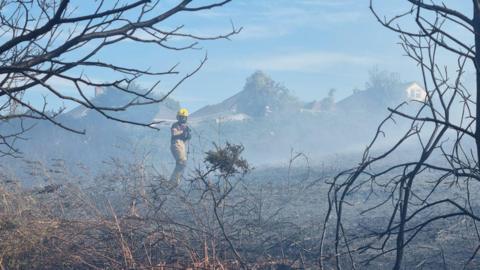 A firefighter in a burnt out heath area