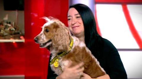 Daniel the spaniel and owner Deena Shelby in the BBC News studio