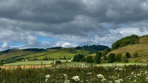 Countryside with cloudy skies