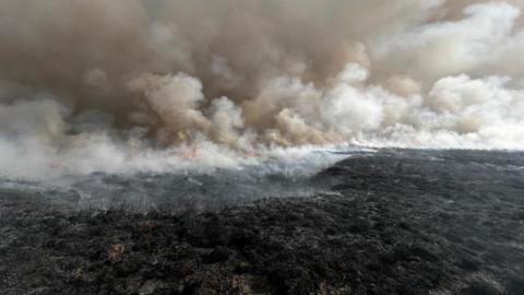 A large blackened section of grassland has plumes of smoke billowing from it in the air. 