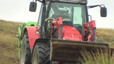 Red tractor drives over gorse during harvesting process