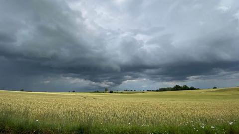 Dark clouds over a field
