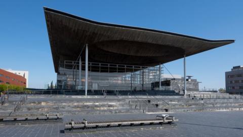 Senedd