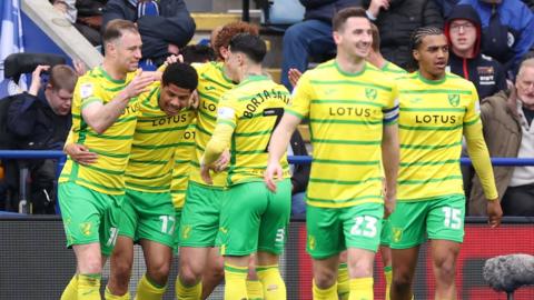 Norwich players celebrate goal