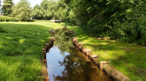 The beck channel that runs through a field near trees.