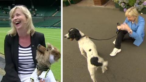 Composite image showing Carol Kirkwood on the left with Hacker and Kirkwood sitting on the floor with a dog on a leash