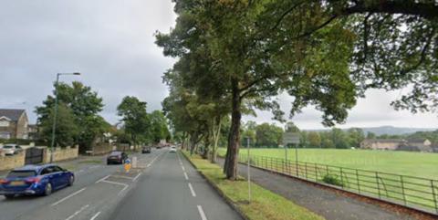 A tree-lined suburban road with cars driving along. A field is on one side of the road, with houses along the other.