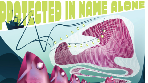 The image is a stylised protest poster focused on commercial fishing and its impact on marine life. Across the top, large green text reads "PROTECTED IN NAME ALONE". In the foreground is a line of pink fish stretching into the distance, many appearing trapped within a large fishing net that dominates the centre of the image. 