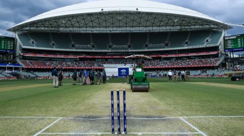 Stock image of a cricket pitch