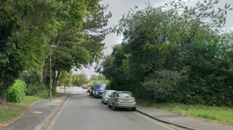Vehicles are parked on one side of a road lined with trees and bushes. There are also street lights and double yellow lines.