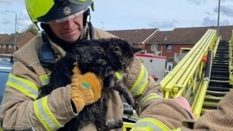 Image of a firefighter holding a ragged small cat in his arms
