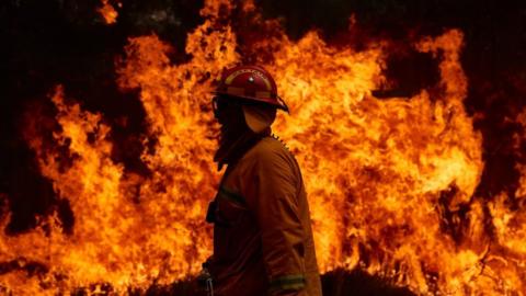 ember works on controlled back burns along Putty Road on November 14, 2019 in Sydney, Australia