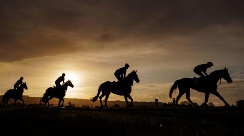 Silhouetted horses gallop as the sun rises behind them