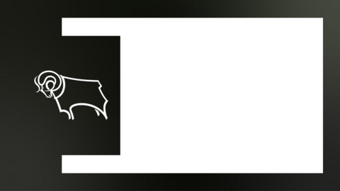 Derby County club rail