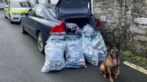 A blue car with its boot open and several large plastic bags full of items with an alsatian dog in the foreground and a police car behind.