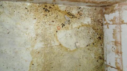 White floor and wall surfaces covered in yellow stains and rat droppings.