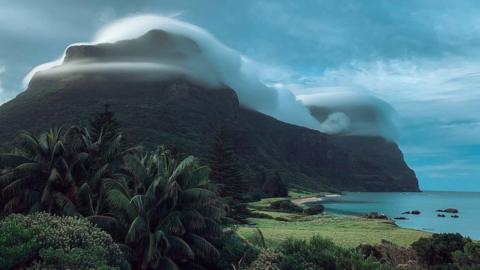 The Gnarled Mossy Cloud Forest on Lord Howe Island