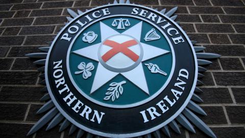 The PSNI emblem on a brick wall. It includes scales, a harp, a torch, a leaf, a shamrock and a crown. 