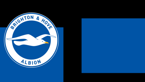 Brighton & Hove Albion badge