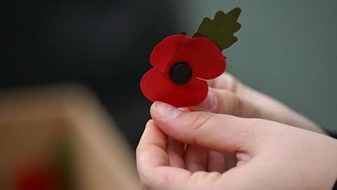 A stock image of a woman holding a poppy pin at a memorial service.