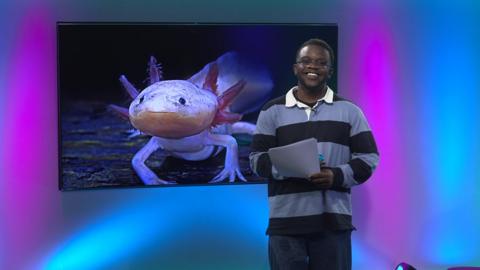 De-Graft in the studio