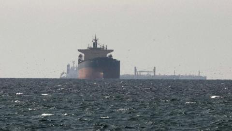 Cargo ships in the Gulf, near the Strait of Hormuz, on 11 March 2026