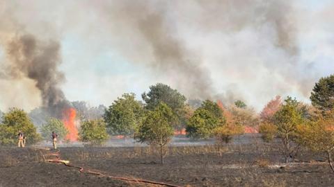 Fires in a field with firefighters in attendance