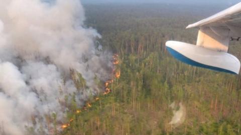 A Russian firefighting aircraft tackle a fire in the Krasnoyarsk region. Photo: 30 July 2019