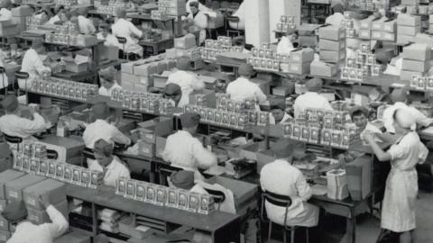 Women on a production line
