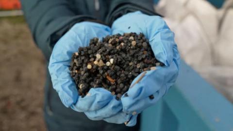 Two hands wearing blue plastic gloves are holding a load of black plastic pellets