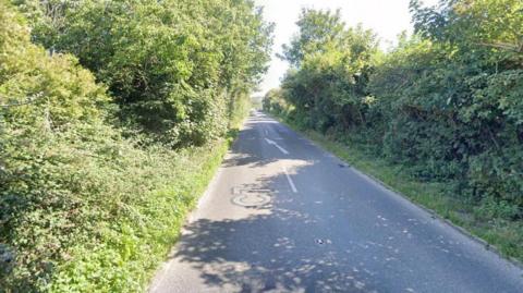 Google image of a tree lined road. (Piddinghoe Road in Lewes)