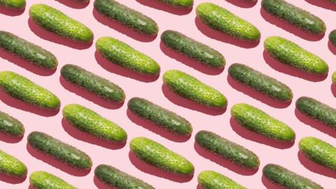 Pickles (gherkins) laid out in diagonal rows on a pale pink background. 