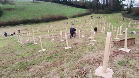 A field is covered with freshly-planted young trees and groups of volunteers planting them. There is a hedge and mature trees marking the field's boundary.