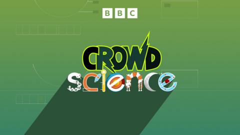 CrowdScience