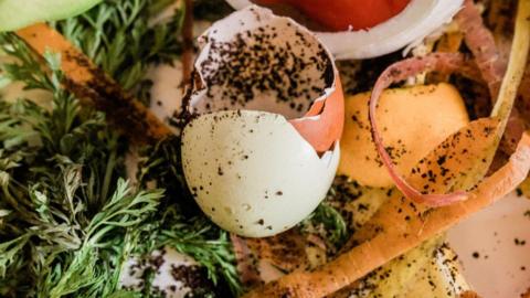 A pile of food waste with vegetable peelings, egg shells and more dusted with coffee grounds