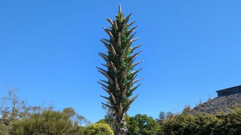 A spiky plant protrudes into the blue sky