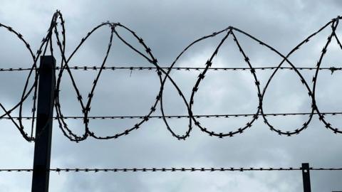 Barbed wire against a grey, overcast sky. 
