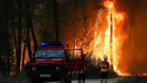 Firefighters watch a wildfire in Ourem, Portugal