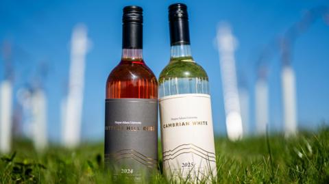 Two bottles of wine are standing in green grass. The left bottle is a rosé wine with a black cap. The liquid is a pinkish red and the grey label says "Harper Adams University Buttery Hill Rosé." The wine on the left is white, slightly yellowish in colour and also has a black cap. The grey label says "Harper Adams University Cambrian White".