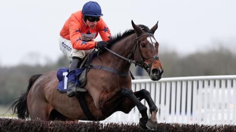 Panic Attack ridden by Harry Skelton at Newbury Races on 14 January 2026