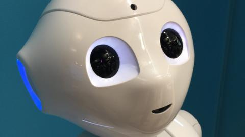 Pepper the domestic robot