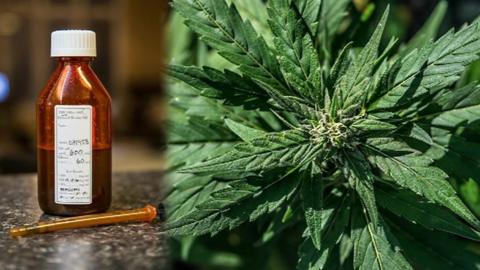 Cannabis oil bottle and cannabis leaf