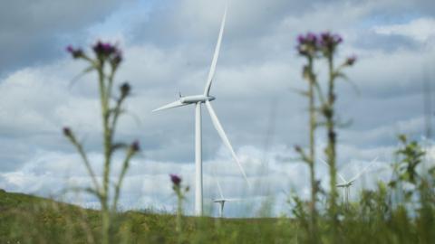 A wind turbine with thistles in the foreground