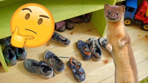 childrens shoes, a thinking emoji and a weasel