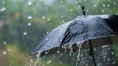 A black umbrella is covered with falling water that looks like rain. The background is blurred.