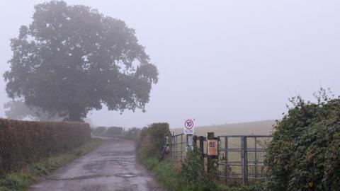 A country lane framed by a large field on one side and hedges on the other under overcast skies 